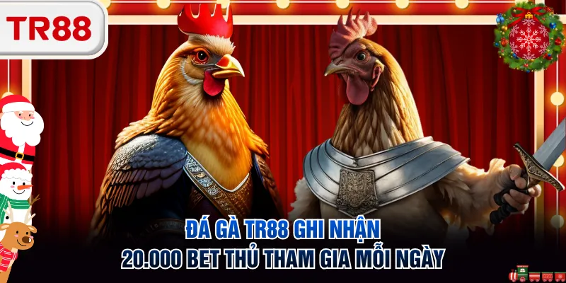 Đá gà TR88 ghi nhận 20.000 bet thủ tham gia mỗi ngày