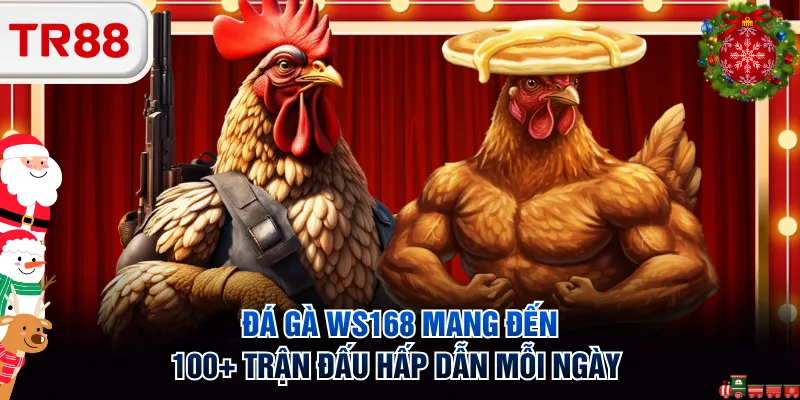 Đá gà WS168 mang đến 100+ trận đấu hấp dẫn mỗi ngày