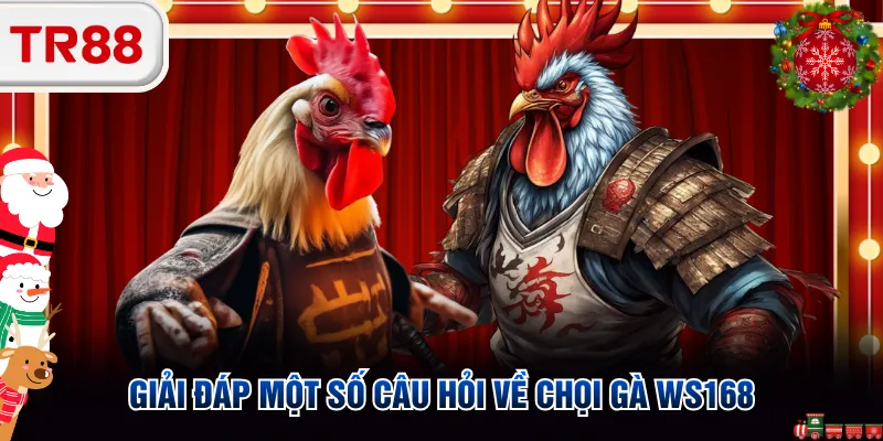 Giải đáp một số câu hỏi về chọi gà WS168