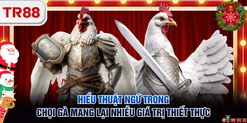 Hiểu thuật ngữ trong chọi gà mang lại nhiều giá trị thiết thực