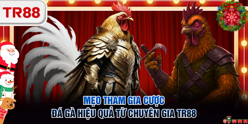 Mẹo tham gia cược đá gà hiệu quả từ chuyên gia TR88