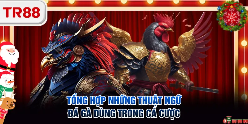 Tổng hợp những thuật ngữ đá gà dùng trong cá cược